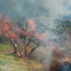 fuoco #