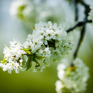 20130505 12 34 57 unbenannte Fotosession