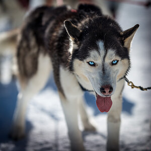 20130217 13 01 15 unbenannte Fotosession