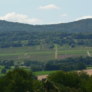 Weinberg