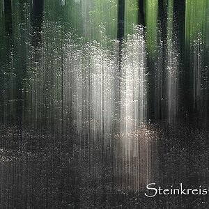 comp Der Geist der Bäume