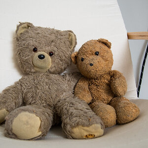 Teddy