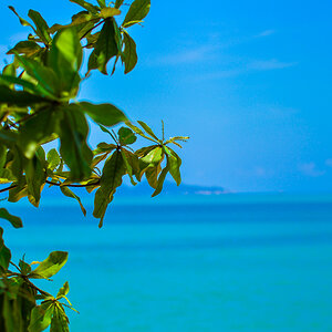 Meer