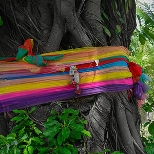 Baume