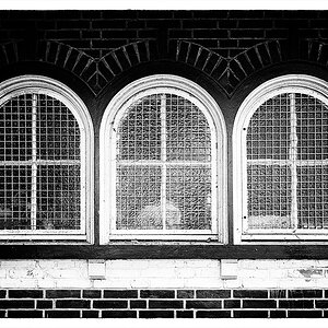 196/365