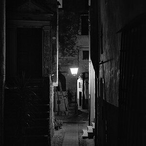 Cervo-Ligurien