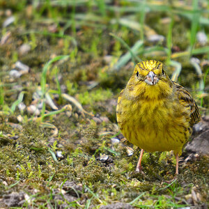 DSC 8447 khg