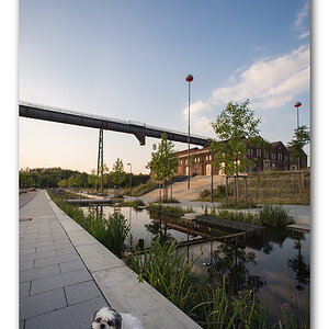 sommerabend5
