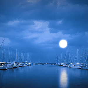 Midnight Port