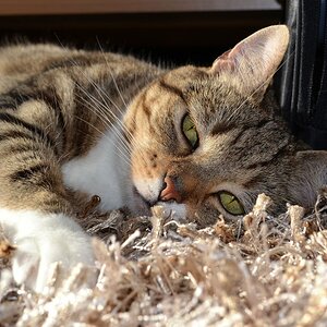 Unsere Luna