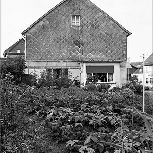 cR140805 029 3