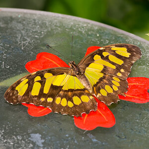 P8230465 2