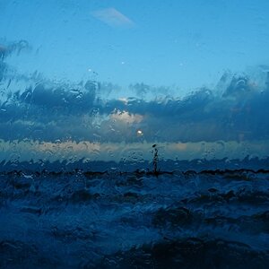 DSCN9516x