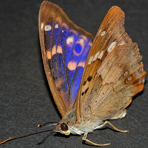 DSC 8526