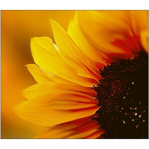 Compressed 0664