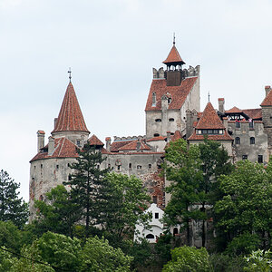 DSC 1158