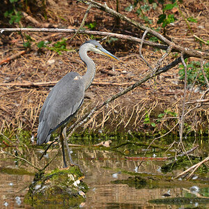 DSC 2081 khg