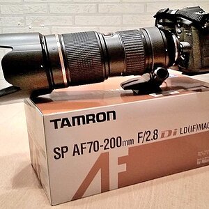 D7100 + Tamron