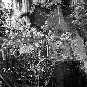 comp img024 bearbeitet