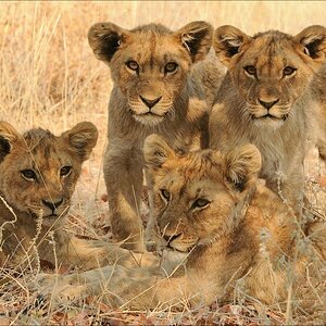 aacomp Namibia 09 23548aa