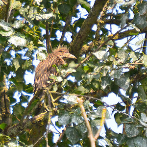 DSC 2123 khg