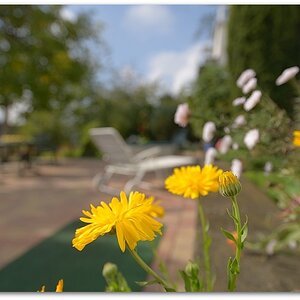 MNE 7228, 20141001
D800 AF-S 18-35mm 3,5-4,5 G ED