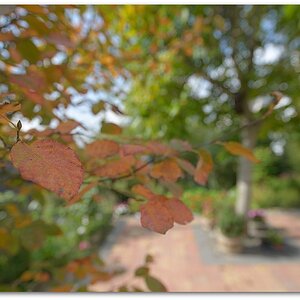 MNE 7232, 20141001
D800 AF-S 18-35mm 3,5-4,5 G ED
