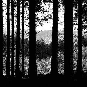 comp DSCF2751 bearbeitet S&W