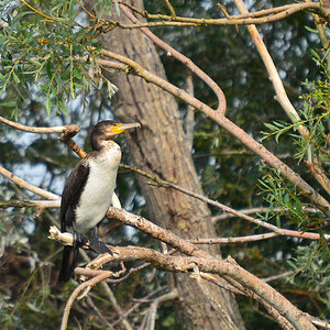 DSC 1980 khg