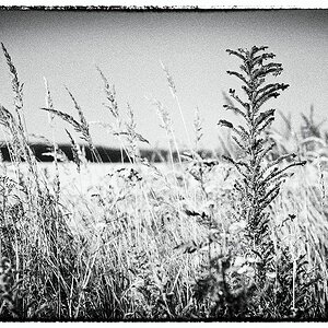 F003158c