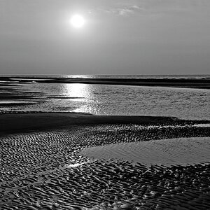 DSC 1508 DxO.1 2