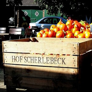 Kürbiskiste
