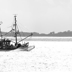 DSC 1730 DxO.1