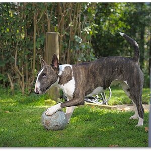 MNE 6610, 20141002
D700 AF-S 24-120/4,0