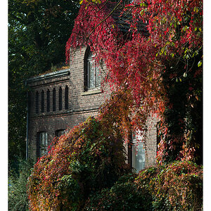 herbst2
