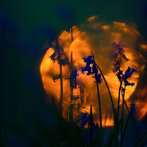 Akt.blau (6)