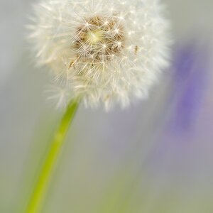 Akt.blau (3)