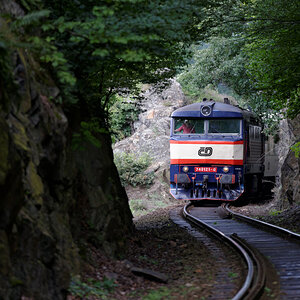 610 4598 Bardotka 749 121 0