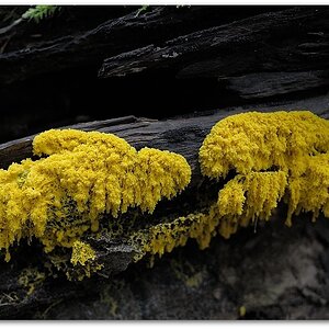 MNE 5233, 140830
D700 Ai-S 28mm/2,8 RC