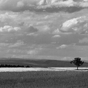 DSC 0702 01x