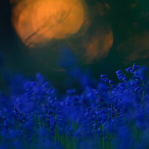 Akt.blau (2)