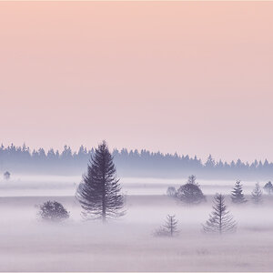 more fog