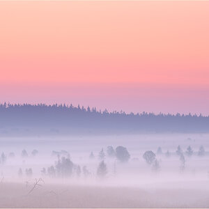 fog