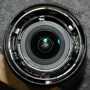 DSC 8546
