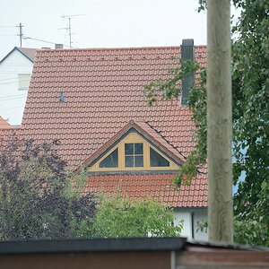 DSC 8550