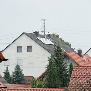 DSC 8552