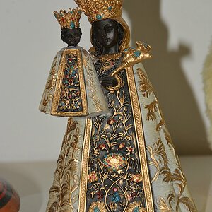 DSC 8554