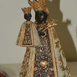 DSC 8555