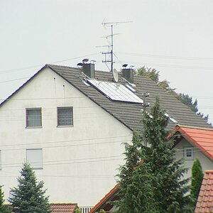 DSC 8553