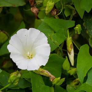 P8100171